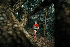 BIB: 
                            <button type="button" onclick="openModal(25666993)" class="btn btn-primary btn-sm float-right btn-popup" data-toggle="modal" data-target=".modal-high-quality">
                        <i class="fas fa-shopping-cart"></i> Add to Cart
                    </button>
                                            <button type="button" onclick="isThisMe(25666993, true)" class="btn btn-success btn-sm float-right btn-popup btn-isme hidden" data-toggle="tooltip" data-placement="bottom" title="นี่คือรูปของคุณใช่ไหม คลิกที่นี่เพื่อเอาเข้าอัลบั้ม">
                        <i class="fas fa-plus"></i> Add to album
                    </button>
                    <button type="button" onclick="isThisMe(25666993, false)" class="btn btn-warning btn-sm float-right btn-popup btn-isnotme hidden">
                        <i class="fas fa-ban"></i> Remove from album
                    </button>